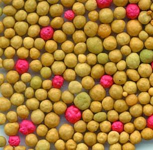 ENGRAIS 10 KG ENGRAIS 10 KG