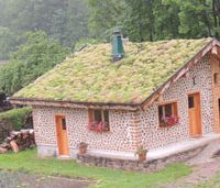 végétalisation de toit sur un chalet