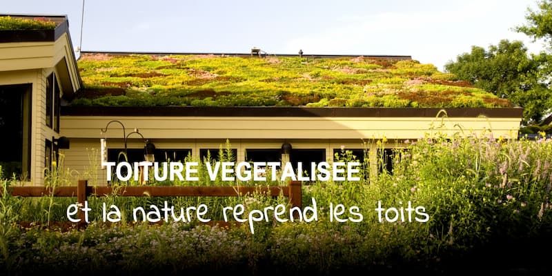 <img src="image.jpg" alt="toiture vegetale de type semi intensive">